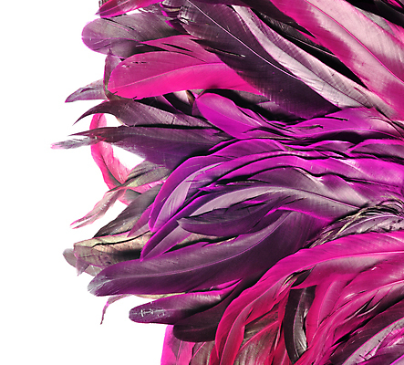 포토 JPG 해외이미지 동물 디자인 남자 야생동물 백그라운드 패턴 자연 조류 미술 사람없음 장식 초록색 빛 컬러풀 노란색 치킨 흰색 우아함 공작 깃털 오브젝트 질감 꼬리 솜털 수탉 고립 이국적 해외202004 해외포토 컬러 컨셉 무늬 문화예술 사람 닭 수컷 생태계 닭고기요리 파일형식 이미지허브