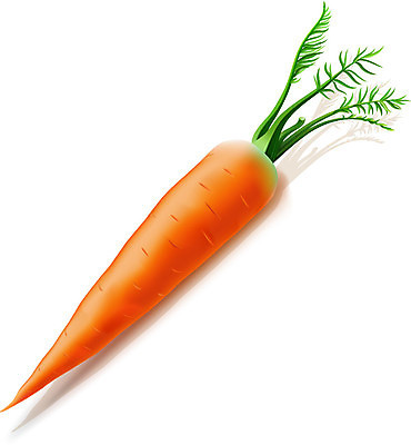 EPS 해외이미지 음식 줄기 백그라운드 잎 농업 다이어트 채소 오렌지 일러스트 재료 건강 초록색 컬러풀 당근 흰색 신선 시장 맛 상품 큼 먹기 가득함 오브젝트 싱글 유기농 날것 뿌리 길이 내추럴 고립 바이오 채식주의자 비건 해외202004 해외일러스트 식물 웰빙 산업 컬러 컨셉 과일 모션 뿌리채소 크기 채식 파일형식 벡터 이미지허브