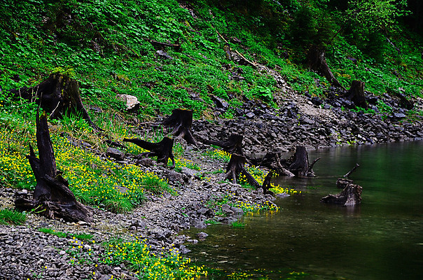 포토 JPG 해외이미지 식물 공원 호수 파도 바다 여행 백그라운드 잎 모션 자연 추상 산 풍경 사람없음 야외 목재 물 파란색 빛 강 햇빛 태양 환경 봄 거품 폭포 젖음 흐름 에너지 가을 흰색 연못 신선 액체 떨어짐 잡지 숲 당구 현재 해외202004 해외포토 자연요소 나무 계절 공공시설 컬러 컨셉 무늬 재료 간행물 구기 생태계 파일형식 이미지허브