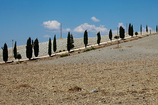 포토 JPG 해외이미지 나무 선 패턴 밭 농업 자연 건조 풍경 사람없음 여름 평화 환경 고요 이탈리아 사막 달력 성장 가을 시골 만취 언덕 부식 그림 포도밭 장면 시에나 토스카나 해외202004 해외포토 식물 계절 유럽 산업 컨셉 무늬 생태계 술취함 파일형식 이미지허브