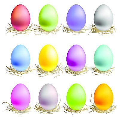 EPS 해외이미지 동물 음식 분홍색 백그라운드 컨셉 돈 꽃무늬 일러스트 자연 조류 부활절 프레임 그림자 선물 빨간색 초록색 파란색 빛 갈색 노란색 계란 치킨 희망 저축 성장 흰색 나뭇가지 행운 황금 둥지 은색 그늘 심볼 사인 개성 밀짚 고립 관심 돌봄 해외202004 해외일러스트 나무 기념일 꽃 감정 컬러 무늬 모션 금융 알 재산 짚 생태계 닭고기요리 파일형식 벡터 이미지허브