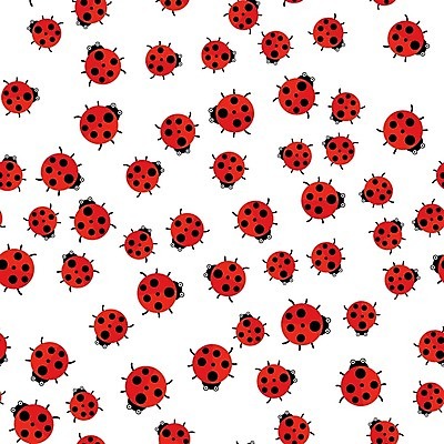 EPS 해외이미지 식물 동물 계절 야생동물 잎 꽃무늬 패턴 일러스트 자연 빨간색 초록색 여름 정원 봄 흰색 작음 에코 무당벌레 내추럴 고립 생태학 엘리먼트 해외202004 해외일러스트 교육 꽃 컬러 곤충 무늬 환경 크기 생태계 파일형식 벡터 이미지허브