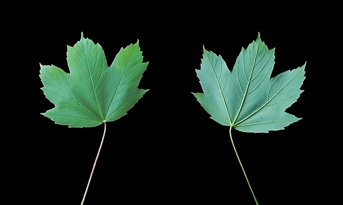 포토 JPG 해외이미지 사람없음 해외202004 해외포토 파일형식 이미지허브