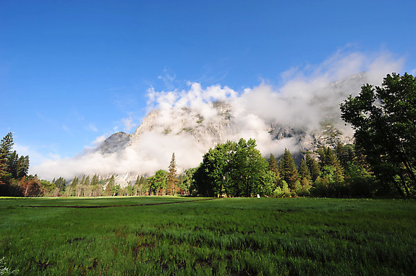 포토 JPG 해외이미지 나무 구름 아침 산 국립공원 풍경 사람없음 초록색 파란색 미국 황혼 안개 소나무 황무지 언덕 속도 캘리포니아 요세미티국립공원 해외202004 해외포토 주간 자연요소 식물 공원 컬러 북아메리카 날씨 일몰 파일형식 이미지허브