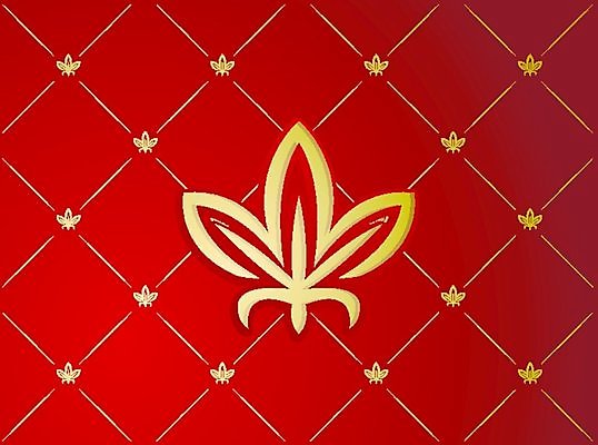 EPS 해외이미지 클립아트 모양 디자인 꽃 선 백그라운드 잎 꽃무늬 패턴 곡선 일러스트 자연 벽지 추상 그래픽 장식 빨간색 수확 골동품 소용돌이 신용카드 화려 재산 황금 클래식 고급 복고 내추럴 바로크 빅토리아 엘리먼트 해외202004 해외일러스트 식물 컬러 컨셉 무늬 농업 금융 회오리 생태계 파일형식 벡터 이미지허브