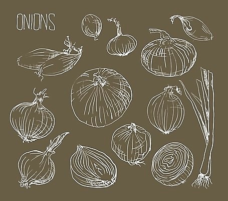 EPS 해외이미지 잡화 음식 조각 백그라운드 다이어트 채소 일러스트 재료 전구 부분 자연 양파 건강 요리 세트 3D 보라색 흰색 신선 반지 양념 그룹 울음 자르기 먹기 허브 향신료 오브젝트 유기농 질감 날것 슬라이스 뿌리 향료 길이 고립 숙성 채식주의자 샬롯 디테일 해외202004 해외일러스트 식물 웰빙 컬러 장신구 모션 표정 디지털합성 생태계 채식 향기 냄새 향미료 파일형식 벡터 이미지허브