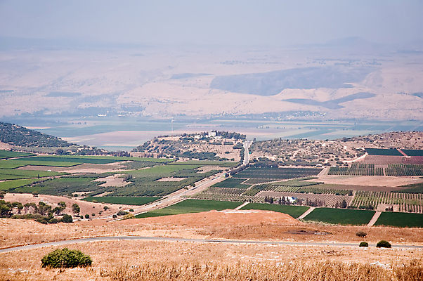 포토 JPG 해외이미지 동물 공원 여행 밭 농업 자연 하늘 산 사람 풍경 사람없음 야외 가로 초록색 농작물 평화 계곡 침묵 관찰 거친 중앙 위험 충돌 밀 조경 장면 지역 북쪽 동쪽 시리아 이스라엘 전국 해외202004 해외포토 공공시설 산업 컬러 컨셉 중동 모션 곡류 소리 방향 생태계 서아시아 파일형식 이미지허브