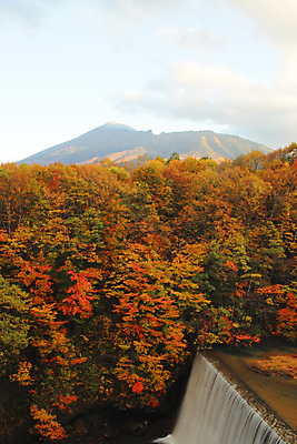 포토 JPG 해외이미지 나무 식물 계절 아시아 단풍 잎 자연 산 풍경 사람없음 야외 목재 강 컬러풀 일본 가을 개울 숲 수평선 해외202004 해외포토 나라 컬러 재료 생태계 파일형식 이미지허브