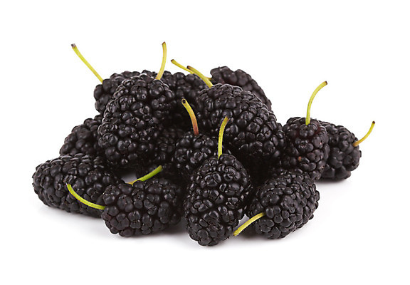 포토 JPG 해외이미지 열매 음식 백그라운드 과일 재료 디저트 사람없음 빛 보라색 검은색 식사 어둠 흰색 신선 달콤 맛 제비꽃 싱글 상쾌 유기농 내추럴 고립 숙성 해외202004 해외포토 식물 웰빙 꽃 감정 컬러 컨셉 파일형식 이미지허브