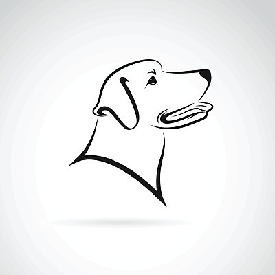 EPS 해외이미지 일러스트 사람없음 반려동물 검은색 흰색 개 강아지 래브라도리트리버 해외202004 해외일러스트 동물 컬러 포유류 리트리버 파일형식 벡터 이미지허브