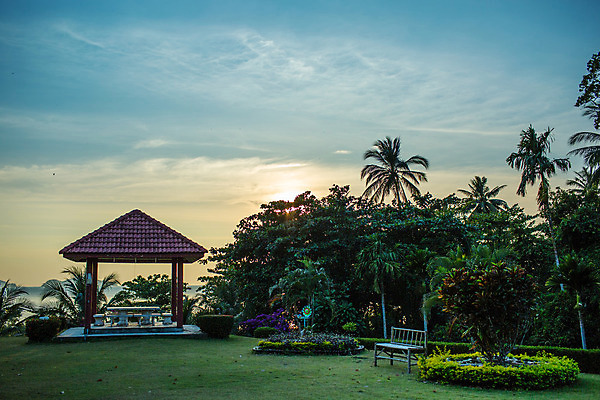 포토 JPG 해외이미지 나무 식물 구름 계절 바다 태국 자연 하늘 호텔 날씨 휴식 풍경 사람없음 초록색 여름 파란색 노란색 시간 뜨거움 상쾌 휴양지 지역 코코넛 내추럴 순간 파라다이스 해외202004 해외포토 자연요소 감정 아시아 컬러 컨셉 과일 숙소 장소 생태계 파일형식 이미지허브