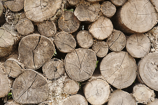 포토 JPG 해외이미지 부분 사람없음 목재 거친 통나무 해외202004 해외포토 나무 재료 파일형식 이미지허브