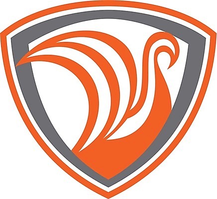 EPS 해외이미지 일러스트 조류 항해 그래픽 햇빛 보트 복고 백조 방패 물새 돛대 목판화 바이킹 해외202004 해외일러스트 동물 태양 배 선박 파일형식 벡터 이미지허브