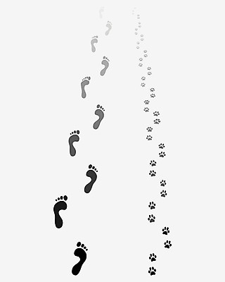 EPS 해외이미지 동물 실루엣 길 2 일러스트 손가락 자국 맨발 사람 반려동물 산책 개 인쇄 발자국 심볼 윤곽 발가락 우표 단계 내추럴 고립 양발 자취 각인 해외202004 해외일러스트 손 포유류 발 휴식 촬영기법 파일형식 벡터 이미지허브