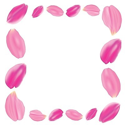 EPS 해외이미지 식물 디자인 계절 기념일 꽃잎 꽃 분홍색 결혼 백그라운드 꽃무늬 일러스트 자연 추상 발렌타인데이 장식 여름 빛 세트 컬러풀 장미 봄 벚꽃 흰색 하트 축하 신용카드 개화 날짜 떨어짐 제비꽃 열정 부드러움 내추럴 고립 구성 이국적 해외202004 해외일러스트 모양 감정 컬러 컨셉 무늬 데이이벤트 이벤트 금융 감각 생태계 파일형식 벡터 이미지허브