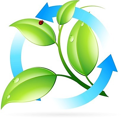 EPS 해외이미지 식물 컨셉 잎 일러스트 자연 초록색 재활용 성장 흰색 신선 떨어짐 심볼 사인 에코 유기농 생물학 심플 내추럴 돌봄 바이오 생태학 해외202004 해외일러스트 웰빙 교육 컬러 모션 환경 친환경 생태계 파일형식 벡터 이미지허브