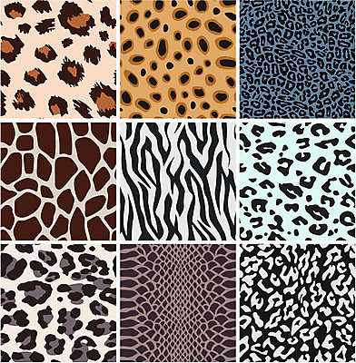 EPS 해외이미지 클립아트 동물 디자인 종이 야생동물 백그라운드 패턴 일러스트 아프리카 자연 벽지 추상 털 동물원 장식 컬러풀 유행 견본 직물 뱀 호랑이 인쇄 가죽 기린 사파리 피부 묘사 질감 육식동물 얼룩말 층 치타 표범 동물상 포장소품 스타일 효과 해외202004 해외일러스트 나라 컬러 무늬 포장 포유류 파충류 신체부위 조형물 말_동물 오브젝트 생태계 포장재료 파일형식 벡터 이미지허브