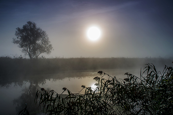 포토 JPG 해외이미지 나무 실루엣 호수 백그라운드 자연 하늘 아침 추상 풍경 사람없음 야외 물 여름 빛 강 태양 반사 일본 검은색 중국 어둠 새벽 할로윈 수확 안개 광선 달 연못 야간 소프트포커스 신비 복고 장면 후광 광 뿌연 해외202004 해외포토 주간 자연요소 식물 계절 아시아 컬러 컨셉 무늬 농업 날씨 촬영기법 생태계 파일형식 이미지허브
