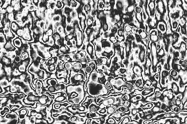 포토 JPG 해외이미지 디자인 백그라운드 패턴 오렌지 촛불 추상 조명 그림자 사람없음 빨간색 빛 노란색 에너지 광선 물방울 손전등 원형 빗방울 야광 블러 해외202004 해외포토 도형 컬러 무늬 과일 초 비_날씨 파일형식 이미지허브