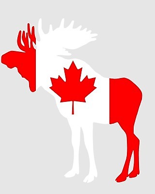 EPS 해외이미지 동물 배너 백그라운드 단풍 잎 캐나다 일러스트 뿔 빨간색 흰색 깃발 심볼 사인 황소 고립 전국 해외202004 해외일러스트 식물 컬러 북아메리카 소 파일형식 벡터 이미지허브