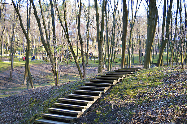 포토 JPG 해외이미지 나무 식물 단풍 잎 자연 아침 풍경 사람없음 야외 초록색 컬러풀 햇빛 계단 성장 가을 소나무 황무지 숲 오솔길 언덕 뿌리 전나무 단계 보호구역 양치류 우크라이나 해외202004 해외포토 주간 계절 유럽 길 컬러 태양 생태계 구역 파일형식 이미지허브