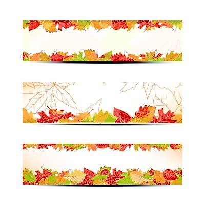 EPS 해외이미지 템플릿 디자인 배너 계절 백그라운드 컨셉 단풍 스티커 잎 오렌지 일러스트 자연 추상 프레임 그래픽 세트 컬러풀 노란색 웹 가을 9월 수집 엘리먼트 헤딩 해외202004 해외일러스트 식물 컬러 무늬 인터넷 과일 축구 날짜 생태계 파일형식 벡터 이미지허브