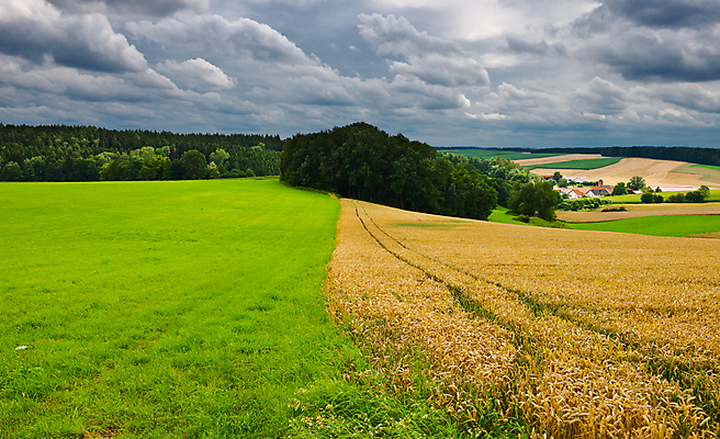 포토 JPG 해외이미지 나무 구름 유럽 지구 여행 잎 패턴 밭 농업 자연 하늘 날씨 주택 독일 옥수수 씨앗 풍경 잔디 사람없음 야외 초록색 여름 농장 농경지 마을 계곡 수확 성장 시골 황금 숲 땅 시리얼 밀 뿌리기 귀 먼지 폭풍 땅바닥 바이에른 세련 해외202004 해외포토 자연요소 식물 계절 나라 산업 음식 컬러 무늬 모션 곡류 바닥 건물 신체부위 생태계 파일형식 이미지허브