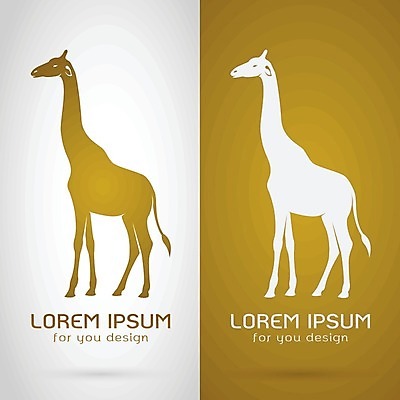 EPS 해외이미지 디자인 어린이 사람없음 노란색 흰색 기린 해외202004 해외일러스트 컬러 포유류 사람 파일형식 벡터 이미지허브