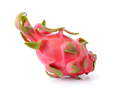 포토 JPG 해외이미지 음식 분홍색 백그라운드 다이어트 과일 태국 자연 선인장 건강 씨앗 동양인 사람없음 빨간색 활발 흰색 용 신선 달콤 맛 잠자리 유기농 고립 숙성 이국적 특별함 해외202004 해외포토 식물 웰빙 아시아 컬러 곤충 컨셉 인종 생태계 파일형식 이미지허브