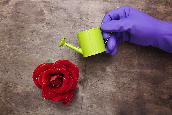 포토 JPG 해외이미지 직업 손 계절 꽃 장갑 백그라운드 농업 자연 건강 사람 사람없음 야외 목재 초록색 여름 세트 유행 정원 검은색 봄 장비 성장 흰색 공구 침대 업무 작업 보호 가죽 모종삽 물주기 원예 슛 심기 옛날 철강 해외202004 해외포토 나무 식물 잡화 산업 컬러 가구 컨셉 재료 모션 취미 신체부위 도구 삽 생태계 파일형식 이미지허브