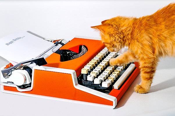 포토 JPG 해외이미지 동물 응시 포즈 오렌지 장난 포유류 사람없음 반려동물 고양이 기계 듣기 흰색 씻기 경계 꼬리 타자기 솜털 노려봄 고립 해외202004 해외포토 시선 컬러 과일 모션 표정 청결 골동품 파일형식 이미지허브