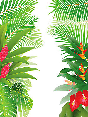 EPS 해외이미지 나무 식물 계절 꽃 야생동물 백그라운드 잎 일러스트 자연 아침 프레임 손바닥 풍경 야외 목재 초록색 여름 태양 환경 봄 숲 신비 열대우림 천국 내추럴 아마존 히비스커스 해외202004 해외일러스트 주간 자연요소 동물 손 컬러 컨셉 재료 생태계 파일형식 벡터 이미지허브