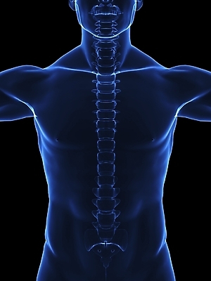 포토 JPG 해외이미지 여자 신체 해부 뼈 골격 엑스레이 건강 병원 사람 성인 사람없음 약 검은색 환자 광선 흰색 기둥 투명 수술 X 엉덩이 필름 척추 새장 외과 궤 돌봄 방사선 해외202004 해외포토 알파벳 건축 컬러 의학 모션 신체부위 치료 케이지 파일형식 이미지허브