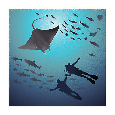 EPS 해외이미지 동물 바다 백그라운드 날개 일러스트 어류 미소 빨간색 물 파란색 검은색 수중 수영 광선 흰색 점 입 주름 산호 호주 큼 아래 다이빙 독수리 상어 암초 수족관 찌르기 해외202004 해외일러스트 자연요소 컬러 모션 조류 표정 신체부위 수중동물 수상스포츠 오세아니아 자포동물 크기 방향 위치 수중스포츠 파일형식 벡터 이미지허브