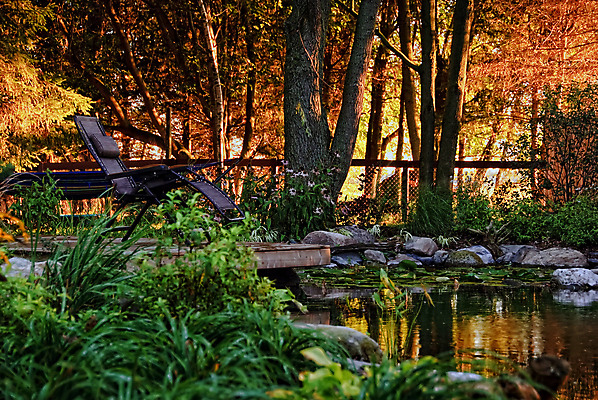 포토 JPG 해외이미지 나무 식물 외관 꽃 의자 풍경 사람없음 야외 초록색 물 여름 정원 맑음 바위 연못 뒤뜰 해외202004 해외포토 자연요소 계절 컬러 가구 날씨 돌_바위 파일형식 이미지허브