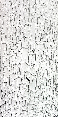 포토 JPG 해외이미지 백그라운드 사람없음 목재 페인트 손상 골동품 흰색 옛날 해외202004 해외포토 나무 컬러 컨셉 재료 파일형식 이미지허브