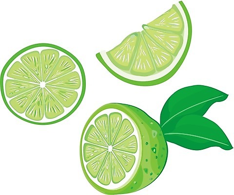 EPS 해외이미지 음식 조각 잎 과일 일러스트 자연 디저트 귤 초록색 노란색 껍질 신선 레몬 오브젝트 고립 숙성 신맛 채식주의자 해외202004 해외일러스트 식물 컬러 맛 생태계 채식 파일형식 벡터 이미지허브
