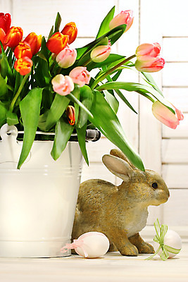 포토 JPG 해외이미지 전통 계절 꽃 행복 음식 분홍색 백그라운드 꽃무늬 자연 휴가 부활절 사람없음 장식 빨간색 초록색 컬러풀 계란 보라색 축제 치킨 놀람 봄 튤립 흰색 축하 토끼 신용카드 그리기 달콤 4월 먹기 심볼 내추럴 해외202004 해외포토 식물 기념일 감정 컬러 컨셉 무늬 포유류 모션 표정 금융 반려동물 알 날짜 맛 생태계 닭고기요리 파일형식 이미지허브