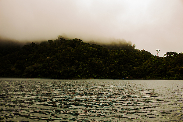 포토 JPG 해외이미지 나무 구름 캐릭터 공원 아시아 도로 섬 여행 백그라운드 자연 조류 하늘 낚시 산 풍경 사람없음 야외 초록색 물 여름 파란색 갈색 맑음 봄 흰색 시골 연못 신선 고속도로 체리 개울 선탠 내추럴 길가 용광로 전국 해외202004 해외포토 자연요소 식물 동물 계절 공공시설 나라 길 컬러 과일 교통시설 레저 날씨 강 생태계 파일형식 이미지허브
