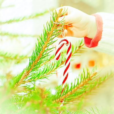 포토 JPG 해외이미지 나무 전통 손 계절 어린이 음식 크리스마스 겨울 손가락 지팡이 휴가 주택 사탕 사람없음 목재 장식 빨간색 초록색 축제 줄무늬 흰색 나뭇가지 시간 소나무 달콤 12월 준비 흥분 정사각형 날카로움 마법 팔 전나무 소매 비네팅 넣기 어려움 해외202004 해외포토 도형 식물 기념일 감정 컬러 무늬 재료 모션 디저트 촬영기법 사람 건물 신체부위 날짜 맛 파일형식 이미지허브