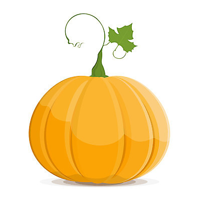 EPS 해외이미지 전통 디자인 음료 음식 백그라운드 잎 채소 오렌지 과일 일러스트 자연 호박 휴가 건강 그래픽 노란색 정원 식사 할로윈 수확 가을 흰색 신선 달콤 큼 만화 먹기 오브젝트 싱글 그림 박 고립 숙성 조롱박 채식주의자 해외202004 해외일러스트 식물 계절 컬러 농업 모션 맛 크기 생태계 채식 파일형식 벡터 이미지허브