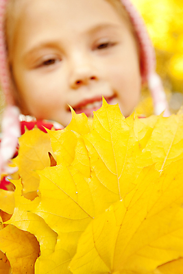 포토 JPG 해외이미지 나무 백인 1 긴머리 계절 공원 행복 어린이 단풍 잎 오렌지 자연 건조 한명 미소 사람 소녀 야외 빨간색 금발 노란색 재킷 가을 흰색 자녀 9월 다발 자연백그라운드 추수감사절 10월 유일 해외202004 해외포토 서양인 식물 헤어스타일 공공시설 여자 감정 기독교 컬러 백그라운드 과일 표정 외투 날짜 생태계 파일형식 이미지허브