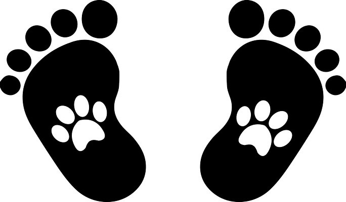 EPS 해외이미지 동물 디자인 실루엣 어린이 새끼 백그라운드 일러스트 발 자연 흑백 동물원 사랑 사람 그래픽 친구 반려동물 검은색 고양이 우정 흰색 아기 잡기 플랫 개 강아지 보호 인쇄 발자국 심볼 사인 우표 수의사 고립 선로 양발 해외202004 해외일러스트 감정 컬러 컨셉 포유류 관계 자국 모션 촬영기법 신체부위 의사 생태계 파일형식 벡터 이미지허브