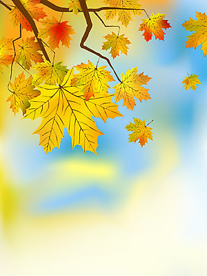 EPS 해외이미지 나무 식물 호수 분홍색 백그라운드 단풍 잎 오렌지 일러스트 자연 추상 야외 빨간색 초록색 물 여름 빛 강 햇빛 태양 반사 노란색 환경 맑음 봄 성장 광선 가을 흰색 나뭇가지 신선 숲 유기농 마법 고립 해외202004 해외일러스트 자연요소 웰빙 계절 컬러 무늬 과일 날씨 생태계 파일형식 벡터 이미지허브