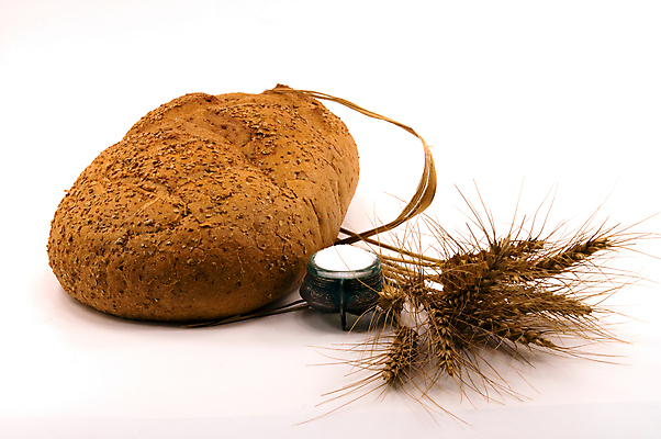 포토 JPG 해외이미지 식물 음식 빵 줄기 백그라운드 농업 자연 건강 옥수수 씨앗 사람없음 가로 농작물 농장 갈색 노란색 식사 성장 흰색 시골 황금 낟알 시리얼 밀 먹기 오브젝트 고립 해외202004 해외포토 산업 컬러 모션 곡류 생태계 파일형식 이미지허브