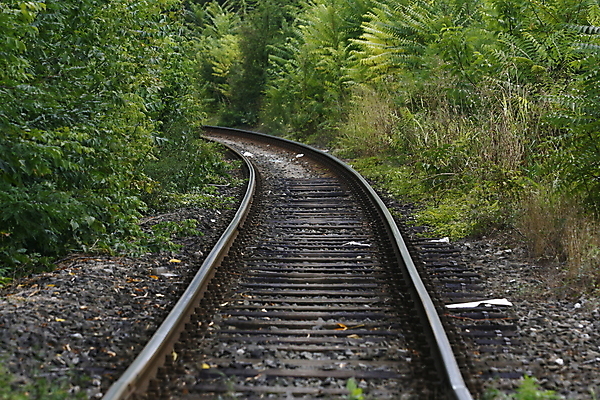 포토 JPG 해외이미지 여행 곡선 교통시설 풍경 사람없음 야외 가로 초록색 반사 금속 젖음 숲 장면 방법 선로 철강 소멸 방식 전경 해외202004 해외포토 선 컬러 교통 재질 시설 파일형식 탑뷰 이미지허브