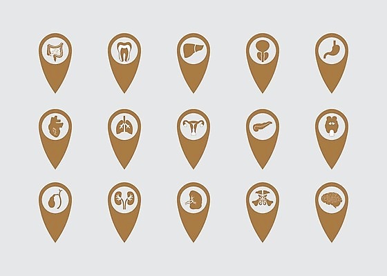 EPS 해외이미지 템플릿 디자인 배너 교육 실루엣 과학 백그라운드 일러스트 해부 세포 건강 현미경 가면 사람 그래픽 약 흐름 인공위성 하트 열 발표 오르간 신장 허파 호흡기관 치아 호흡 질병 흉부 뇌 예방 생물학 간 감염 자궁 암 알레르기 췌장 궤 돌봄 심각 엘리먼트 인플루엔자 주목 지라 천식 해로움 해외202004 해외일러스트 모양 컨셉 통신 의학 모션 촬영기법 실험기구 소화기관 장기_의학 건반악기 비뇨기관 바이러스 파일형식 벡터 이미지허브