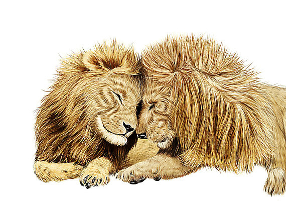 포토 JPG 해외이미지 식물 동물 디자인 야생동물 일러스트 포유류 자연 동물원 사람없음 초록색 봄 흰색 달콤 사자 왕 만화 사파리 육식동물 내추럴 해외202004 해외포토 계절 컬러 맛 생태계 파일형식 이미지허브