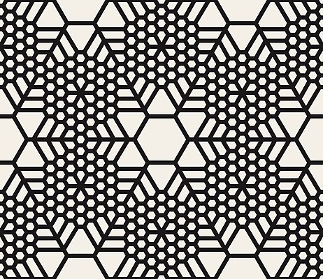 EPS 해외이미지 모양 디자인 별 종이 선 백그라운드 패턴 곡선 일러스트 벽지 추상 흑백 미술 그래픽 장식 검은색 수확 흰색 직물 눈송이 우아함 인쇄 심볼 질감 복고 심플 모자이크 육각형 대칭 엘리먼트 포장소품 스타일 해외202004 해외일러스트 자연요소 도형 컬러 컨셉 무늬 농업 포장 문화예술 눈_날씨 촬영기법 오브젝트 포장재료 파일형식 벡터 이미지허브