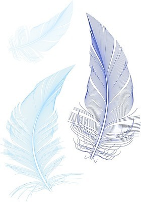 EPS 해외이미지 동물 디자인 선 날개 일러스트 베개 자연 조류 추상 미술 그래픽 장식 파란색 흰색 떨어짐 매끈함 자르기 깃털 그림 질감 고립 해외202004 해외일러스트 컬러 컨셉 무늬 침구 모션 문화예술 감각 생태계 파일형식 벡터 이미지허브